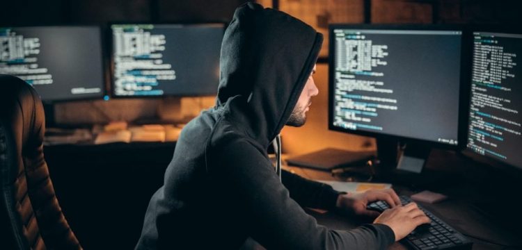 Dibobol Hacker