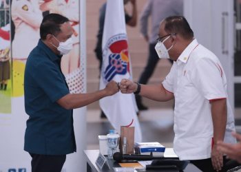 Pekan Olahraga Nasional