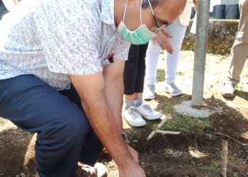 HMPS Matematika UNIKA Ruteng Adakan Gerakan Tanam Sayur