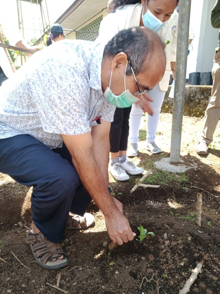 HMPS Matematika UNIKA Ruteng Adakan Gerakan Tanam Sayur