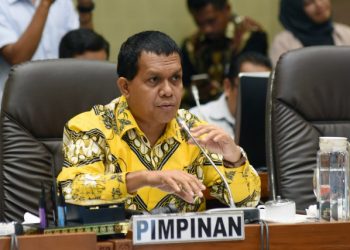 Golkar Nilai Pemerintah Berhasil Atasi Covid 19