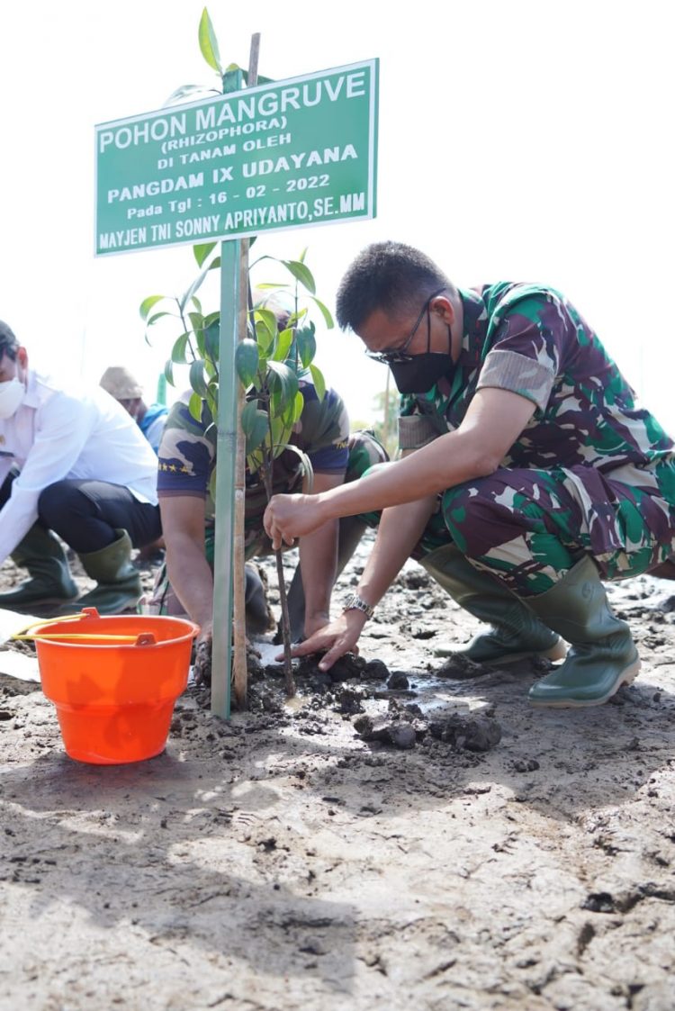 Wujudkan Ekowisata Pesisir Pantai Mandalika, Pangdam Tanam Pohon Mangrove