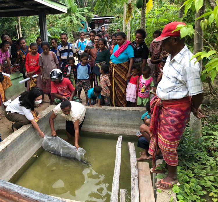 Politisi Golkar Yesi Liyanto Bagi Bibit Ikan Lele di TTS