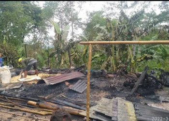 Kebakaran di Manggarai Timur, satu Unit Traktor dan Motor Hangus