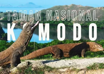 Pemberlakuan Tarif Tinggi akan Mematikan Pariwisata Labuan Bajo