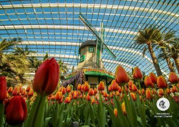 Tulip Fiesta Flower Dome Singapura
