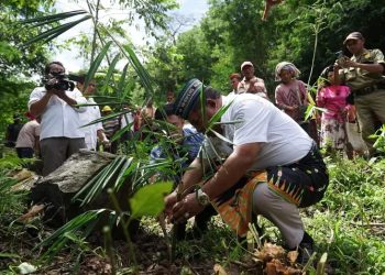 Penanaman Anakan Bambu di Golo Robo, Kota Komba Utara