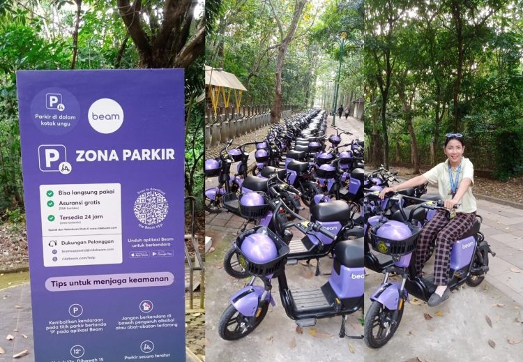 Sepeda Listrik Beam Rover