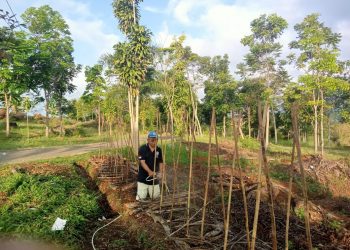 Romo Lorens Teon Sukses Beri Contoh Pengolahan Holtikultura
