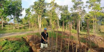 Romo Lorens Teon Sukses Beri Contoh Pengolahan Holtikultura