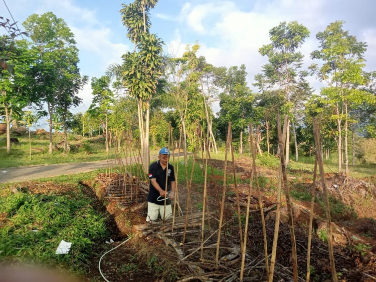 Romo Lorens Teon Sukses Beri Contoh Pengolahan Holtikultura
