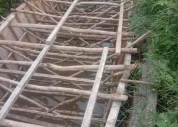 Bencana Kekurangan Beras Lembor Makin Panjang. Proyek Irigasi Belum Kelar