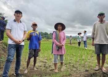 Kelompok Tani Manggarai Barat Dukung Charles Angliwarman Maju Sebagai Calon Bupati