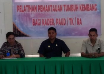 Pelatihan Tumbuh Kembang Anak Kolaborasi Antara Kader Posyandu, Guru Paud dan Guru TK