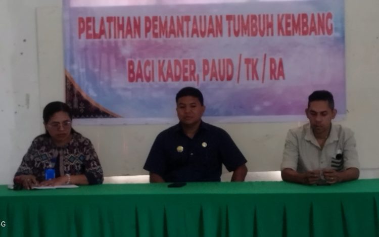 Pelatihan Tumbuh Kembang Anak Kolaborasi Antara Kader Posyandu, Guru Paud dan Guru TK