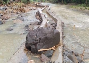 Akibat Pindah DAS Bendungan Wae Lambos, Petani Golo Mori Terancam Gagal Panen