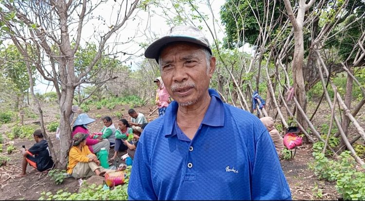 Aktifkan Lahan Tidur: Petani Lembor Selatan Olah Lahan Lima Hektar Untuk Tanam Jagung