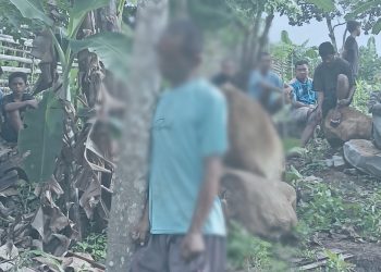 Breaking News: Warga Desa Wae Mose Di Temukan Gantung Diri.