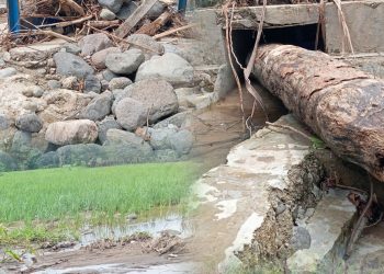 Petani Terancam Gagal Panen, BPBD Mabar Tanggapi Bencana Banjir Bandang di Golo Mori