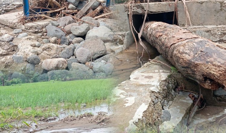Petani Terancam Gagal Panen, BPBD Mabar Tanggapi Bencana Banjir Bandang di Golo Mori