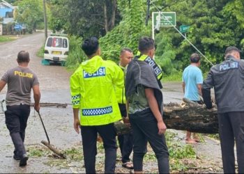 Satlantas Polres Mabar Bersama Warga Bersihkan Pohon Tumbang