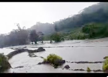 Bencana Banjir Di Kelurahan Golo Wangkung Barat. Sebagian Areal Persawahan Terendam Banjir