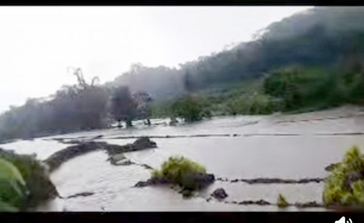Bencana Banjir Di Kelurahan Golo Wangkung Barat. Sebagian Areal Persawahan Terendam Banjir