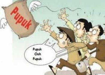 Petani di Manggarai Timur Keluhkan Kelangkaan Pupuk Subsidi. Pemerintah Dinilai Tidak Peka
