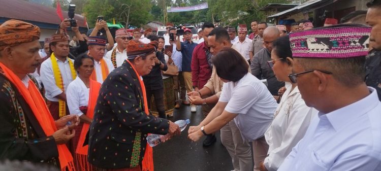 Ritual Koso Loo, Capu Napung Mengawali Penjemputan Bupati / Wakil Bupati Manggarai Secara Adat di Weri Pateng.