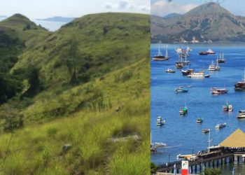 NJOP Naik, Pelaku Wisata Sebut Pernyataan Ferdy Soal Pajak Gelombang Udara Asal Bicara