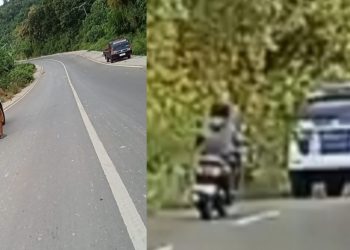 Masyarakat Adat Mbehal Didampingi LSM Ilmu Duga TNI AL Beking Mafia Tanah Di Mabar