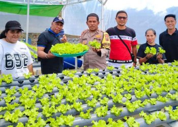 Dukung Program Pempus Polisi Gandeng Pemdes Batu Cermin Budidaya Sayuran Secara Hidroponik