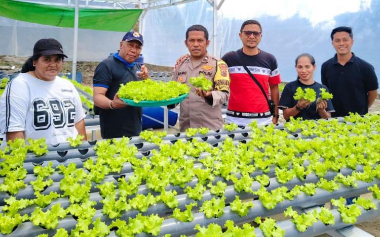 Dukung Program Pempus Polisi Gandeng Pemdes Batu Cermin Budidaya Sayuran Secara Hidroponik