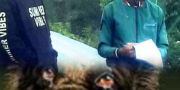 Warga Kalo, Kecamatan Congkar Lakukan Pendataan HPR Secara Mandiri