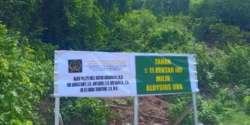 Diduga Para Mafia Tanah Gunakan Preman Bayaran Bongkar Plang di Lokasi. Pemilik Tanah Resah, Kontak Fisik Akan Terjadi