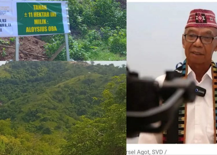 Dirugikan Akibat Pemberitaan Fiktif, Pater Marsel Agot SVD Sampaikan Klarifikasi Resmi