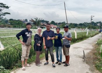 HMP Kota Depok Survei Lahan Ketahanan Pangan, Dorong Skema Contract Farming 