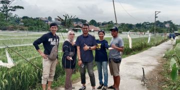 HMP Kota Depok Survei Lahan Ketahanan Pangan, Dorong Skema Contract Farming 