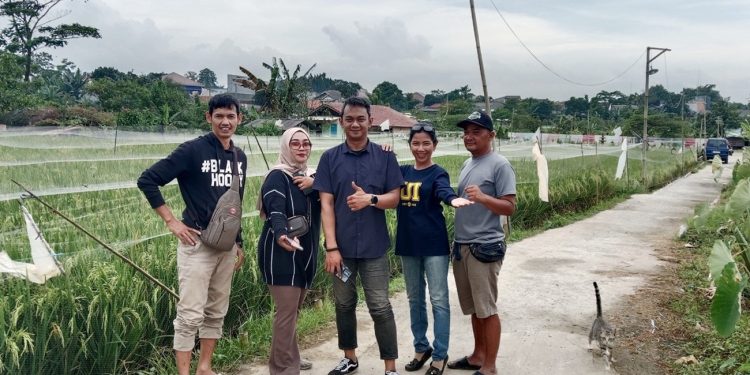 HMP Kota Depok Survei Lahan Ketahanan Pangan, Dorong Skema Contract Farming 