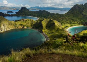 Rencana Bisnis PT. KWE Dibalik Narasi Konservasi Ancam Kepunahan Satwa Purba. Peran BTNK Dipertanyakan