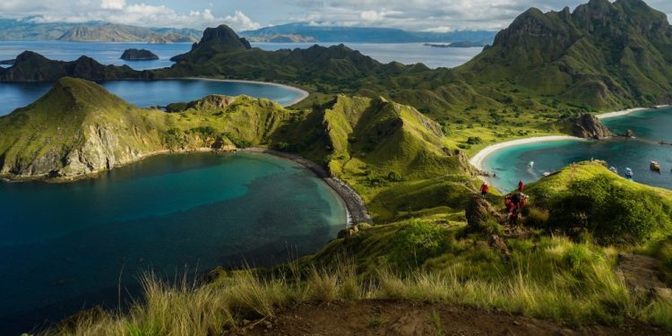 Rencana Bisnis PT. KWE Dibalik Narasi Konservasi Ancam Kepunahan Satwa Purba. Peran BTNK Dipertanyakan