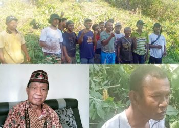 Sengketa Lahan Tanjung Boleng: Warga Tebedo Garap Lahan, Tokoh Adat Soroti Keabsahan Ulayat