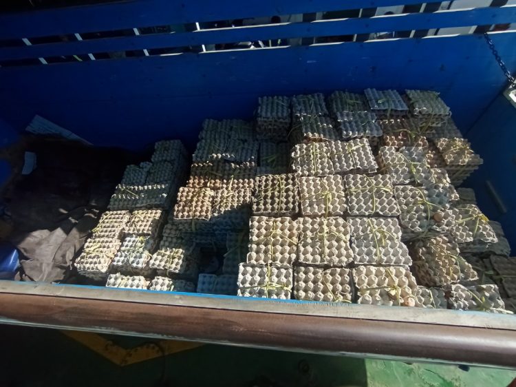 Telur Asal Bima Lolos Tanpa Izin di Labuan Bajo, Diduga Libatkan Petugas Pengawas Dinas Peternakan Mabar