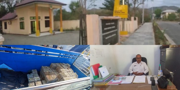 Anak Buah Kadis Peternakan Mabar Terlibat Dugaan Penyelundupan Telur, Karantina Ambil Langkah Tegas
