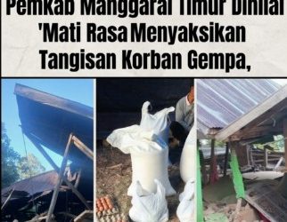Satu Kaleng Sarden untuk 81 KK: Pemkab Manggarai Timur Dinilai ‘Mati Rasa’ Menyaksikan Tangisan Korban Gempa