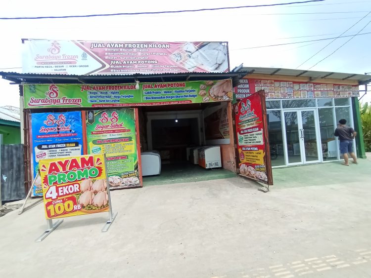 Skandal Bisnis Ayam Beku di NTT: Seret Banyak Korban. Terduga Pelaku Mengaku Bertanggungjawab